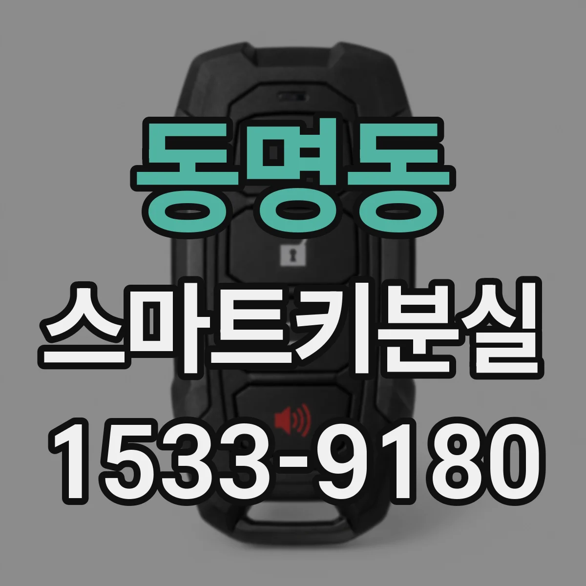 동명동 스마트키분실