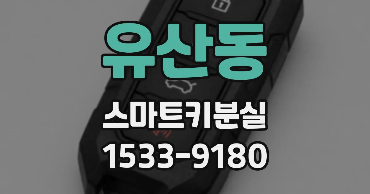 유산동 스마트키분실