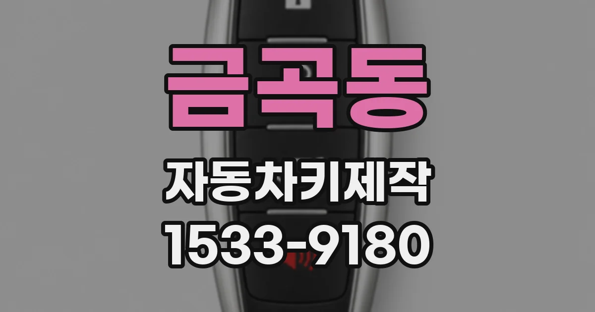금곡동 자동차키제작