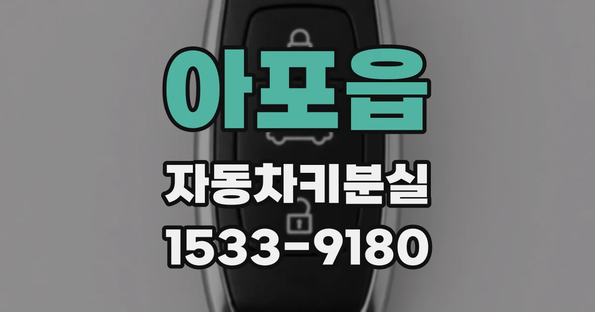 아포읍 자동차키분실
