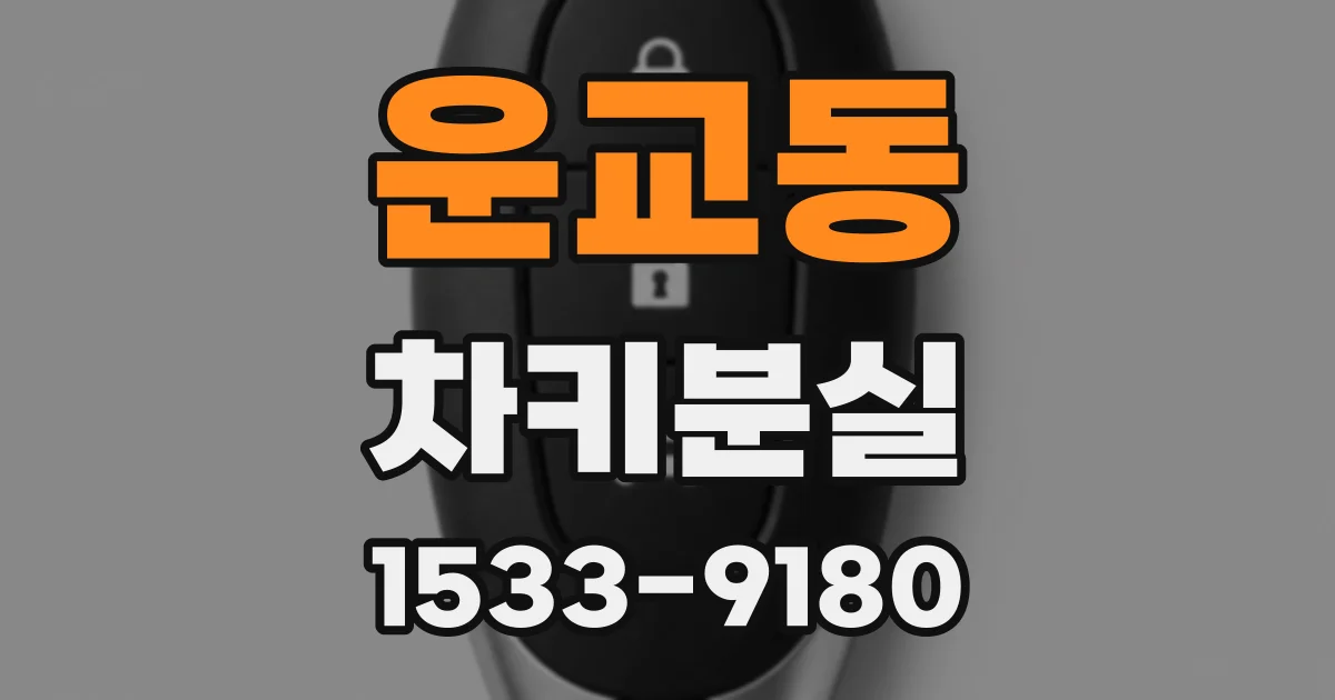 운교동 차키분실