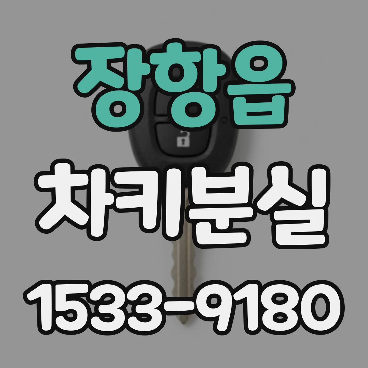 장항읍 차키분실