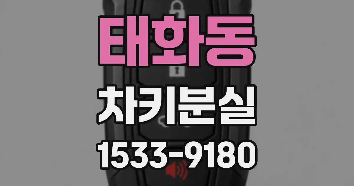 태화동 차키분실