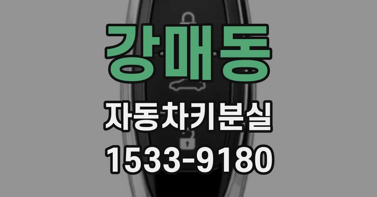 강매동 자동차키분실