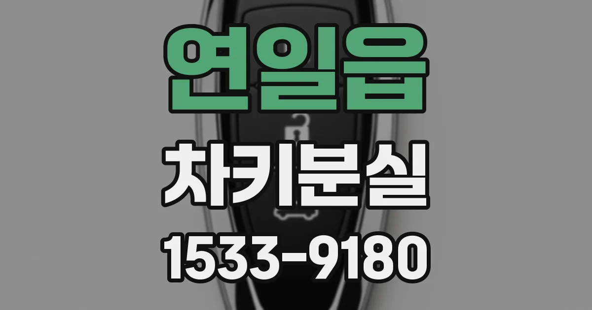 연일읍 차키분실