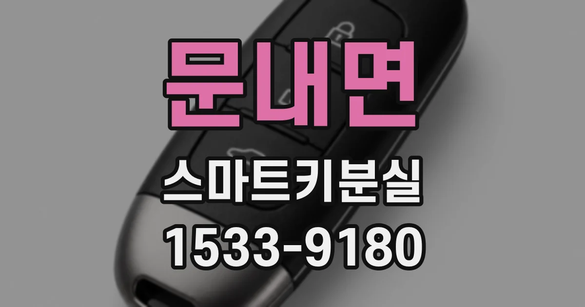 문내면 스마트키분실