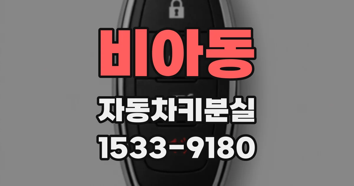 비아동 자동차키분실