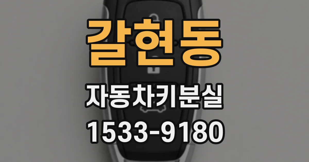 갈현동 자동차키분실