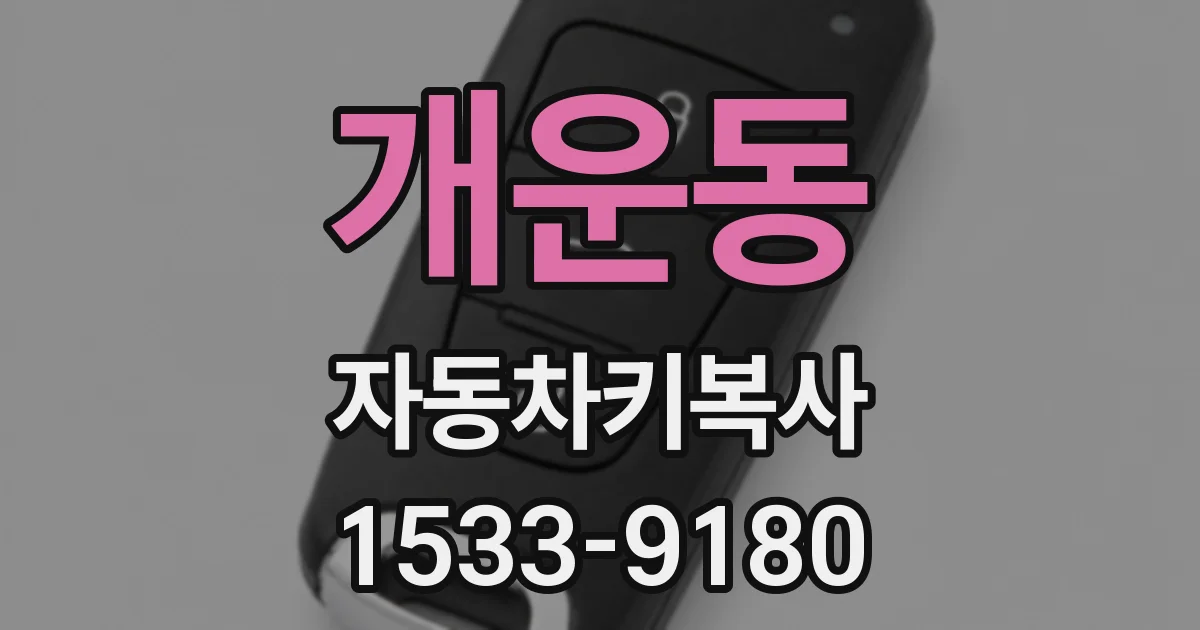 개운동 자동차키복사