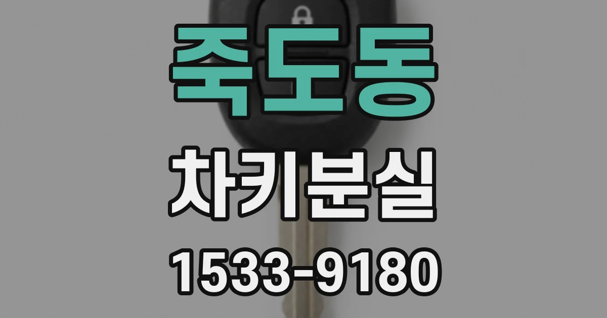 죽도동 차키분실