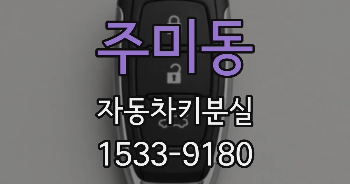 주미동 자동차키분실