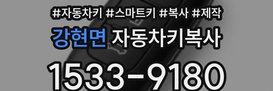 강현면 자동차키복사