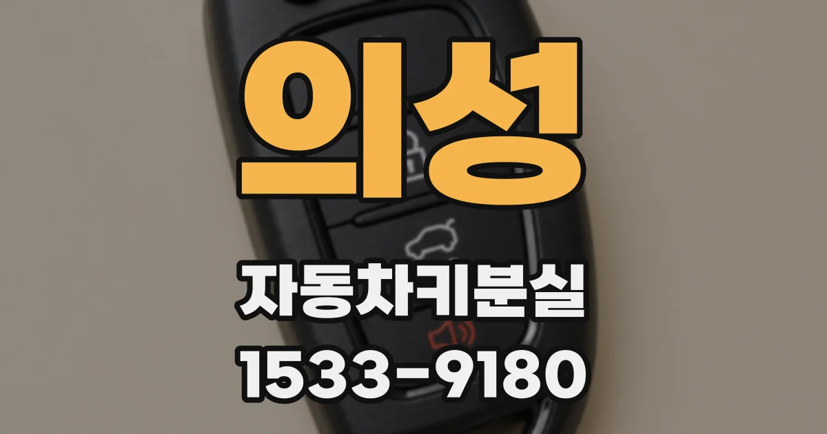 의성 자동차키분실