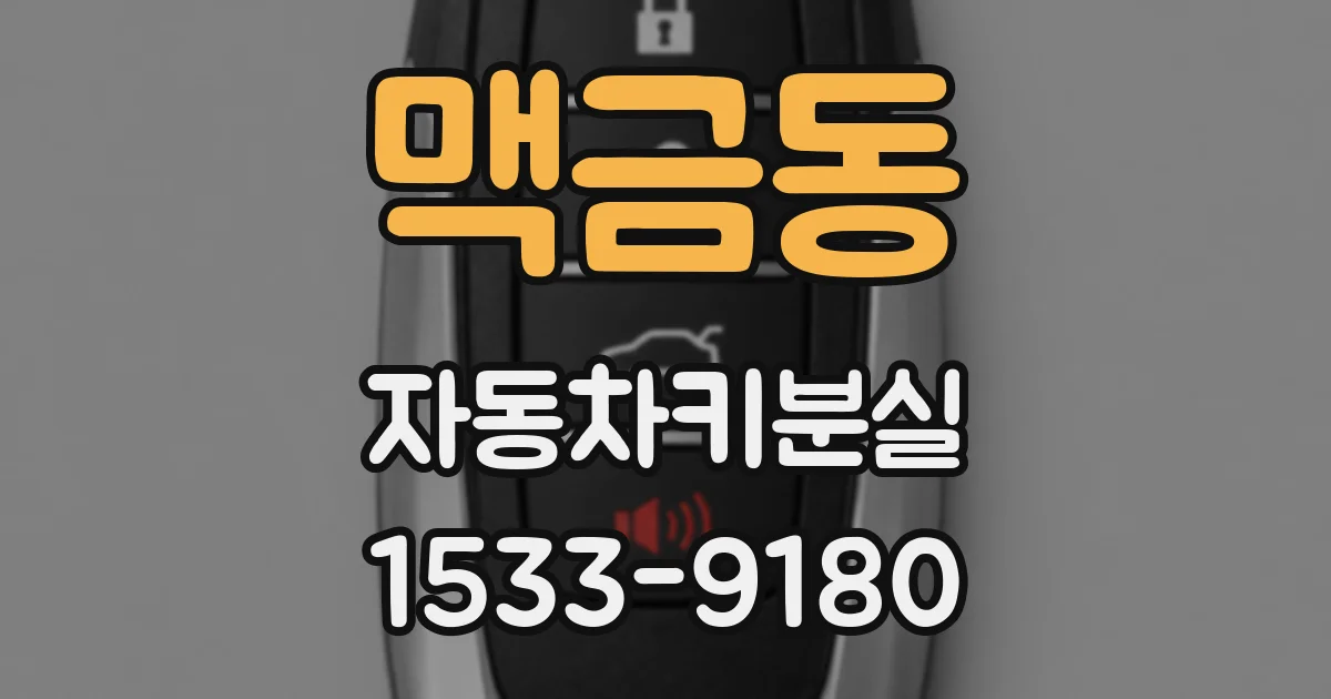맥금동 자동차키분실