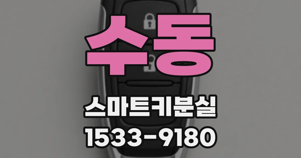 수동 스마트키분실