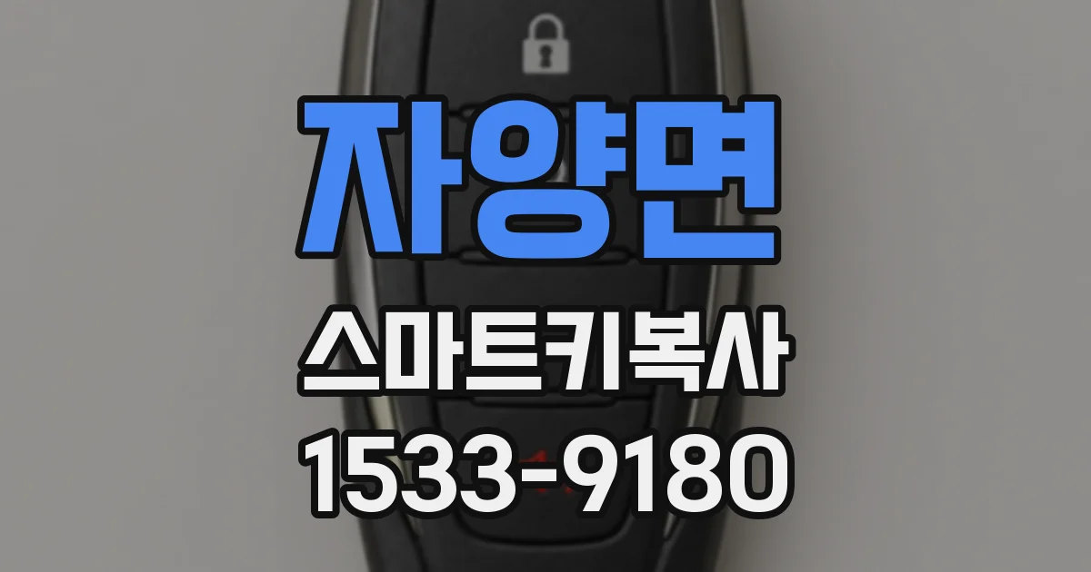 자양면 스마트키복사