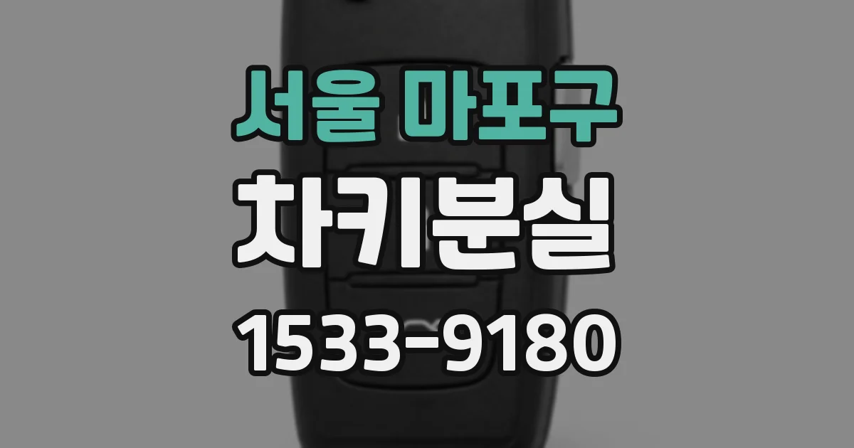 서울 마포구 차키분실