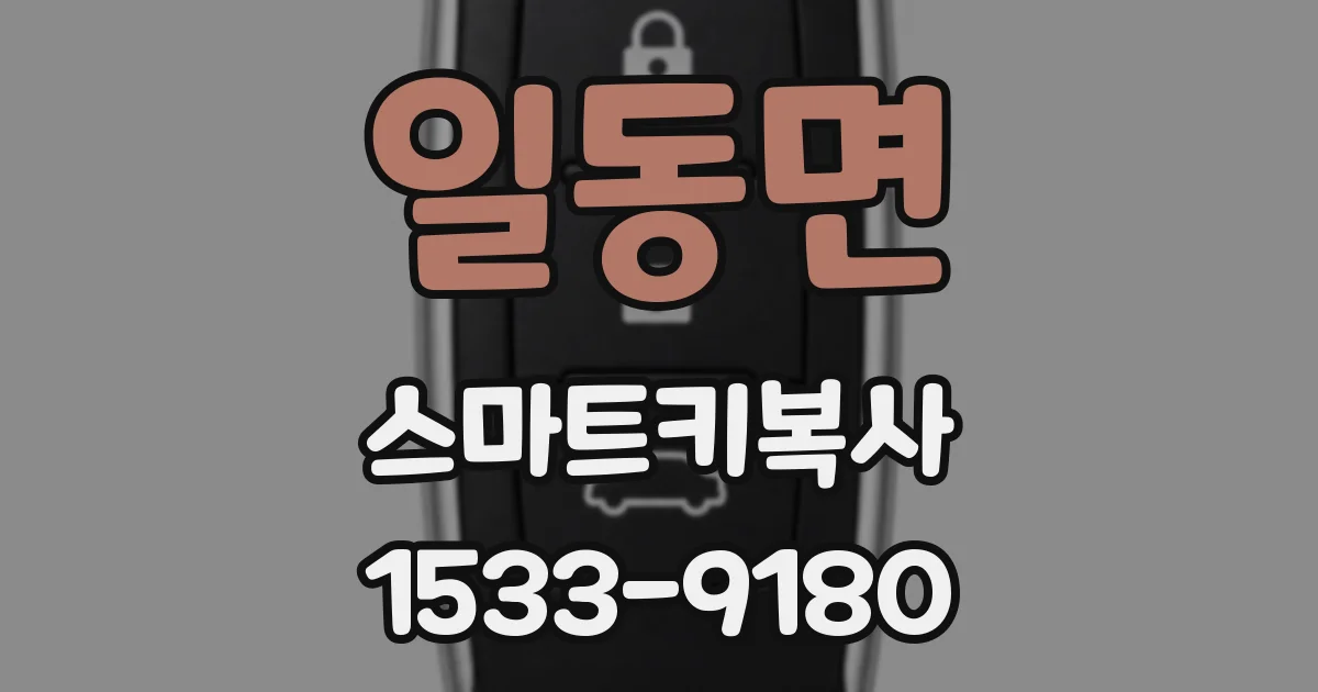 일동면 스마트키복사