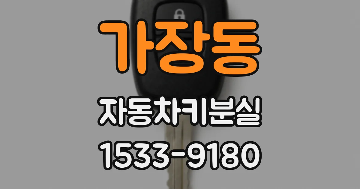 가장동 자동차키분실