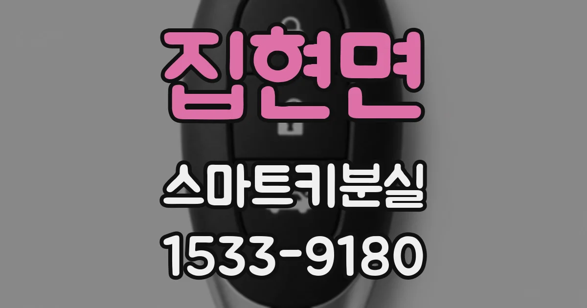 집현면 스마트키분실