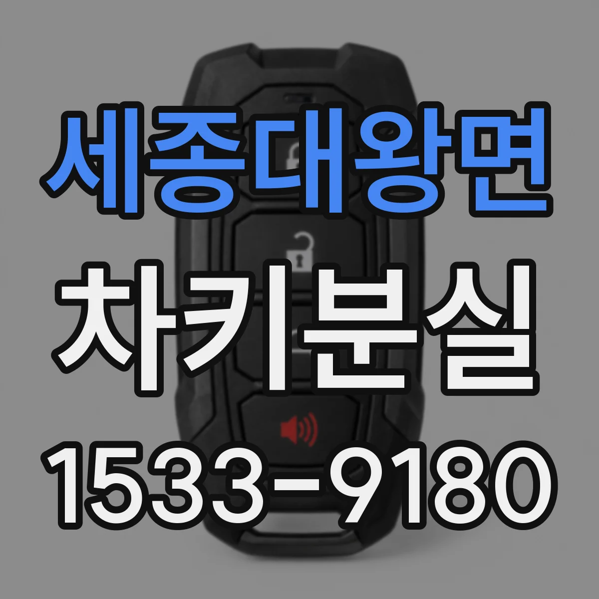 세종대왕면 차키분실