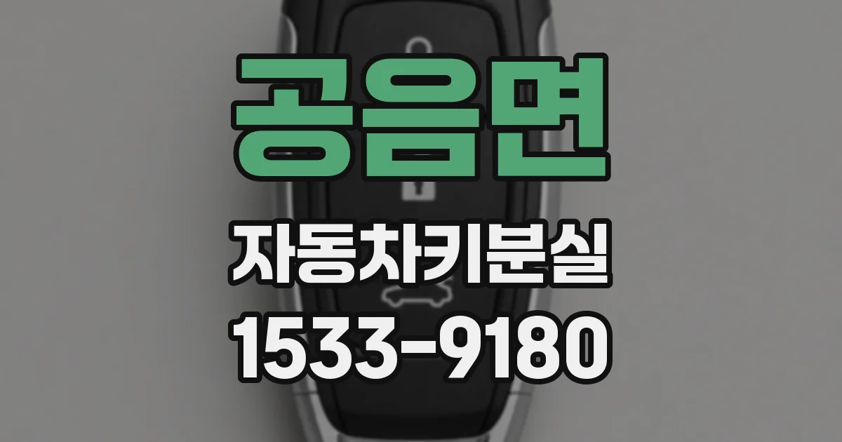 공음면 자동차키분실