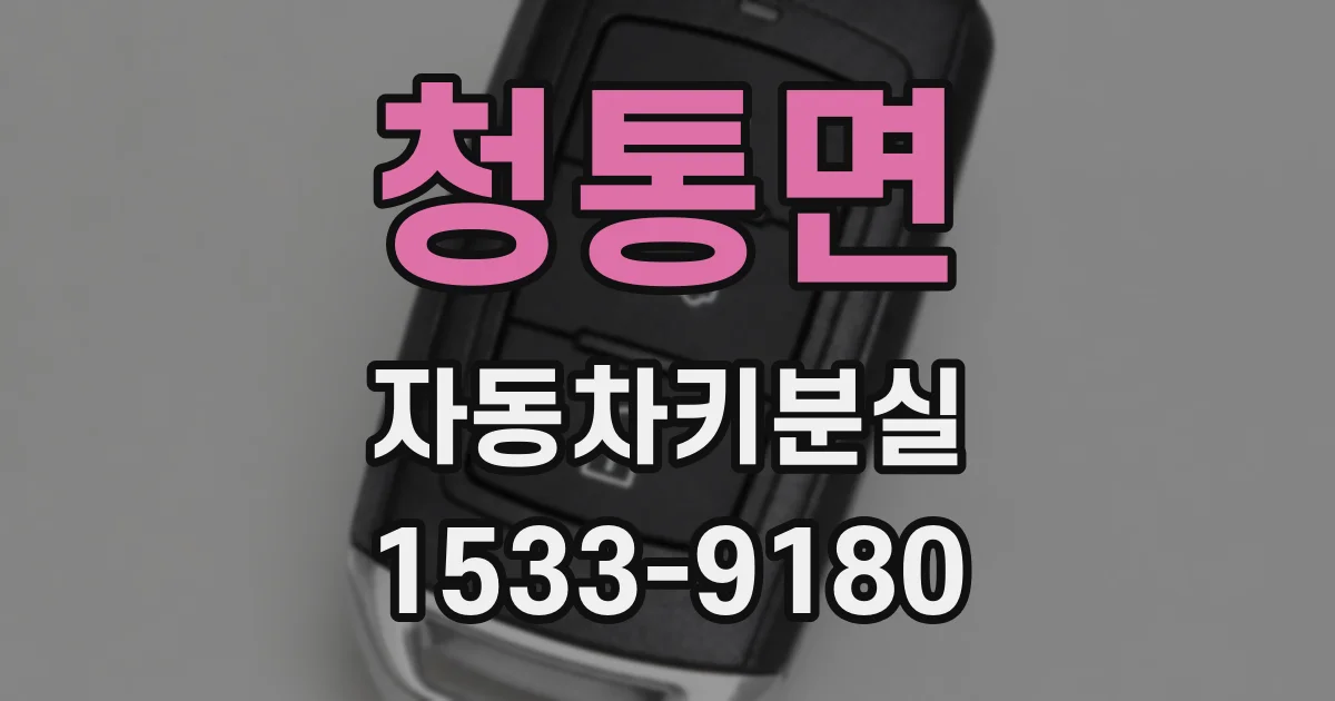 청통면 자동차키분실