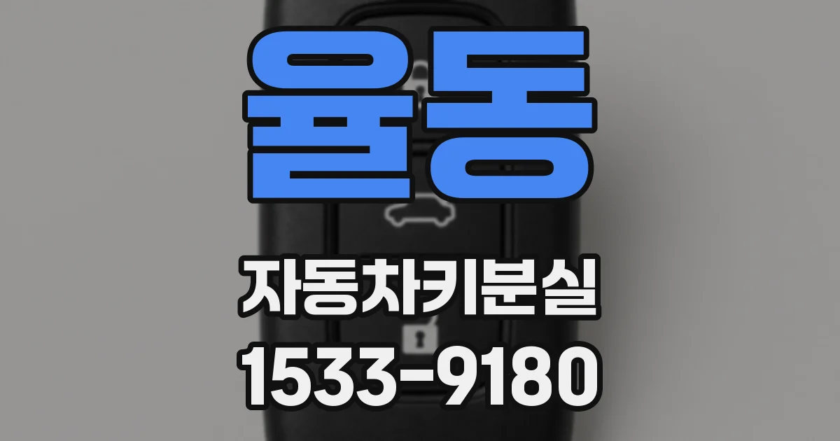 율동 자동차키분실