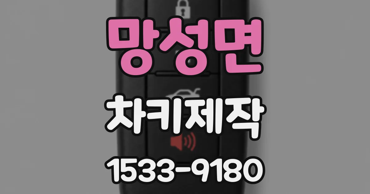 망성면 차키제작