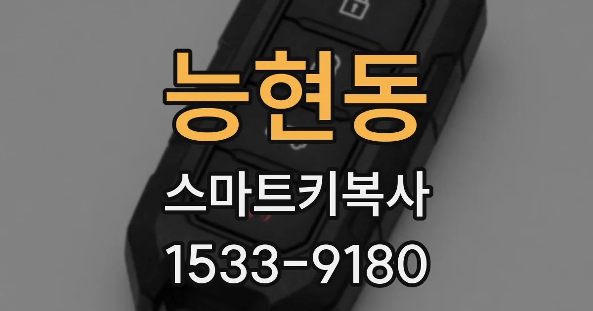 능현동 스마트키복사
