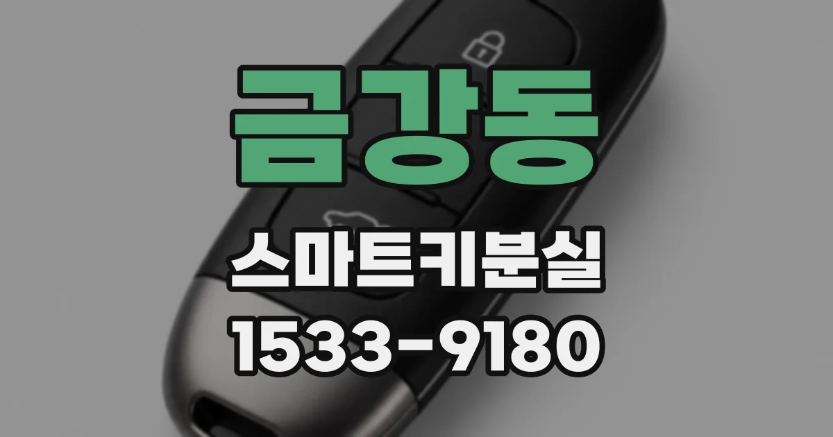금강동 스마트키분실