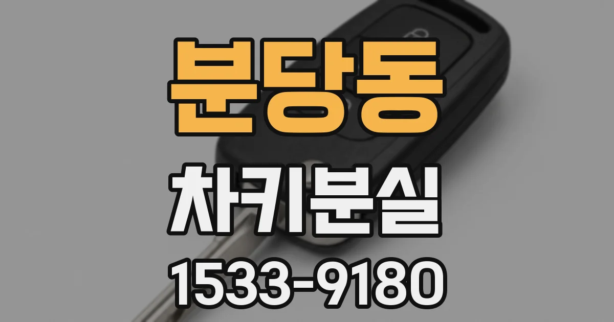 분당동 차키분실