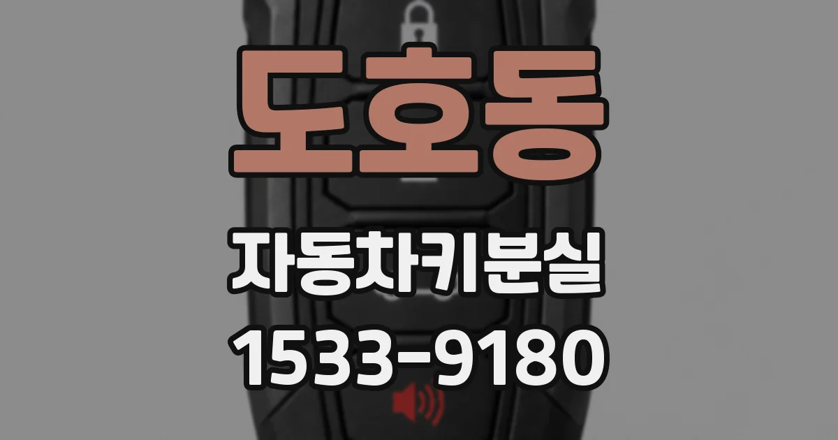 도호동 자동차키분실