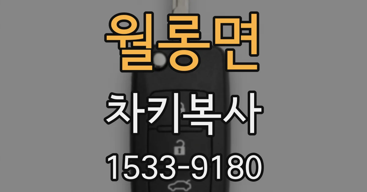 월롱면 차키복사