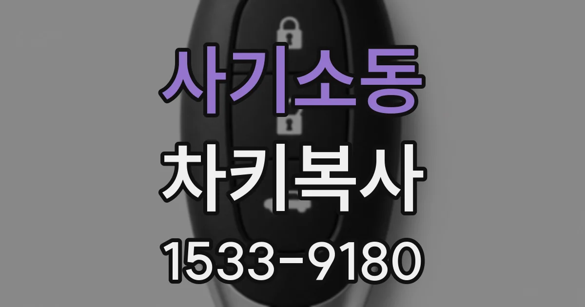 사기소동 차키복사