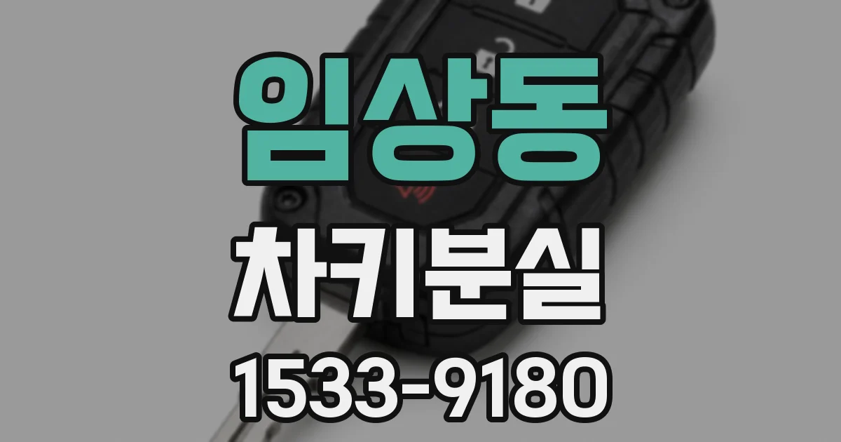 임상동 차키분실