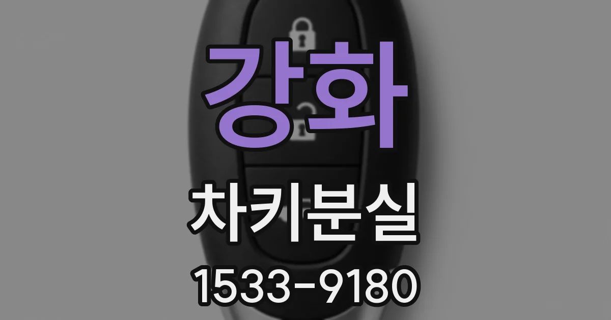 강화 차키분실
