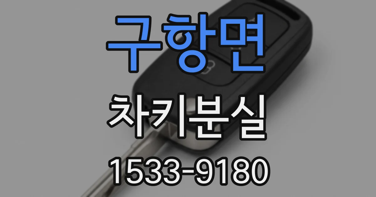 구항면 차키분실