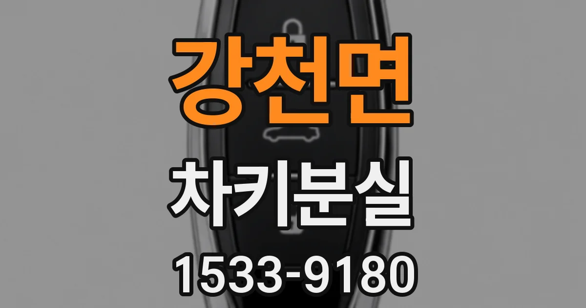 강천면 차키분실