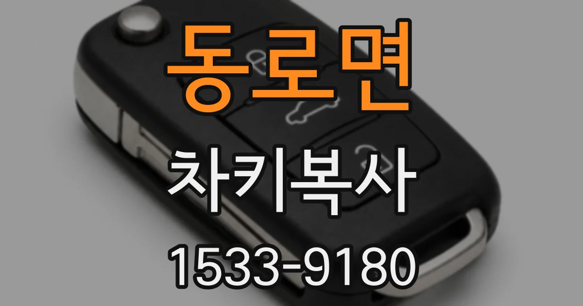 동로면 차키복사