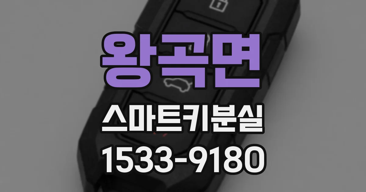 왕곡면 스마트키분실