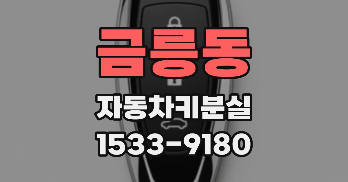 금릉동 자동차키분실