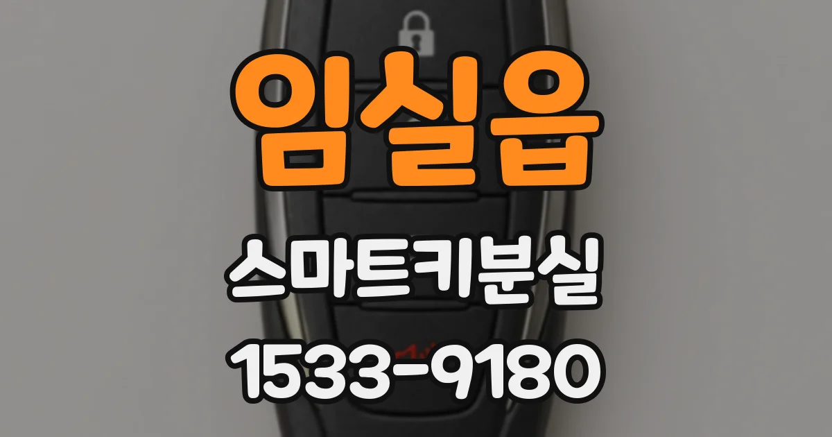 임실읍 스마트키분실