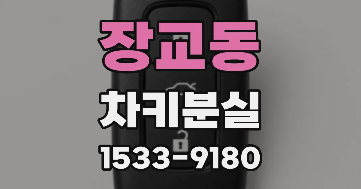 장교동 차키분실