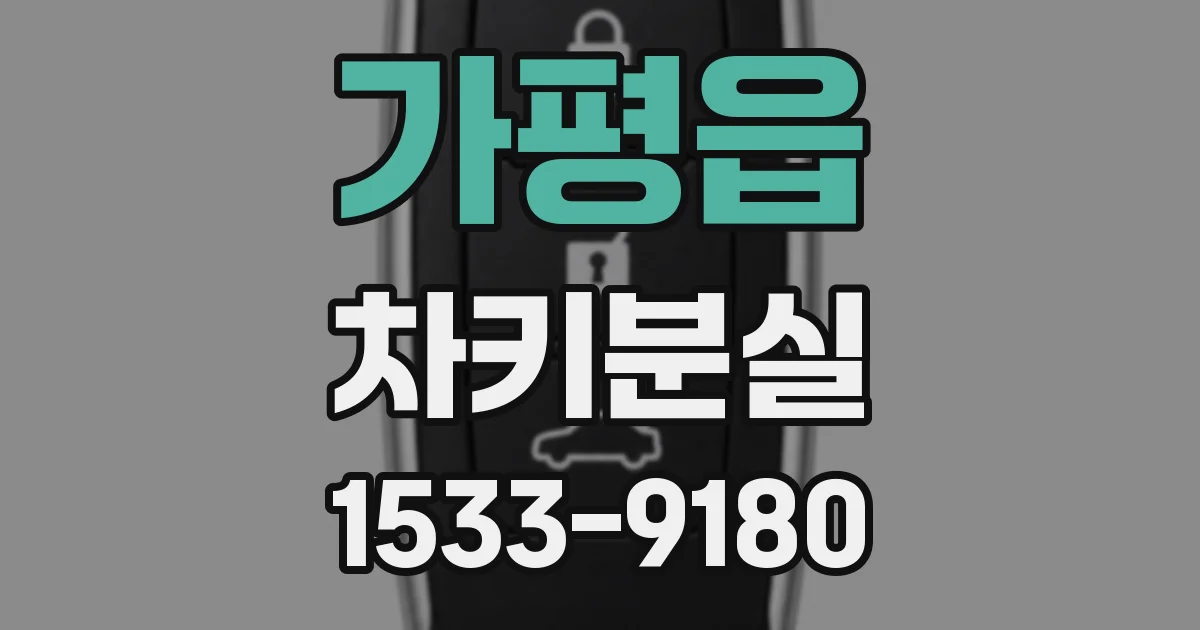 가평읍 차키분실