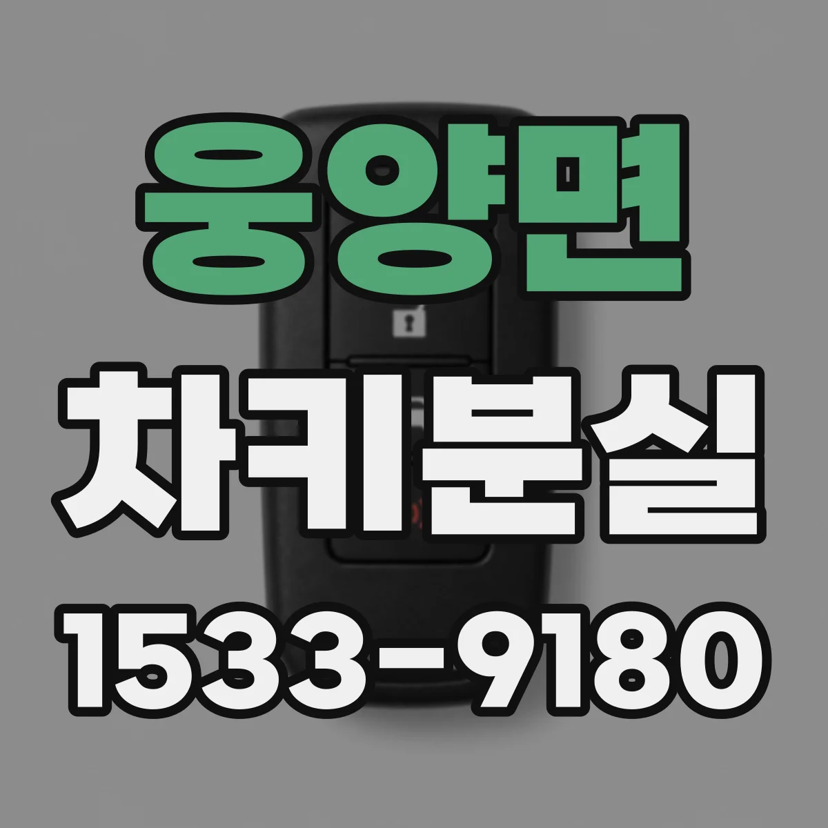 웅양면 차키분실