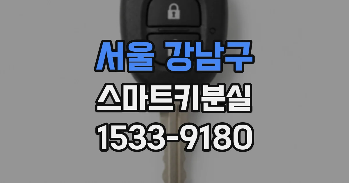 서울 강남구 스마트키분실