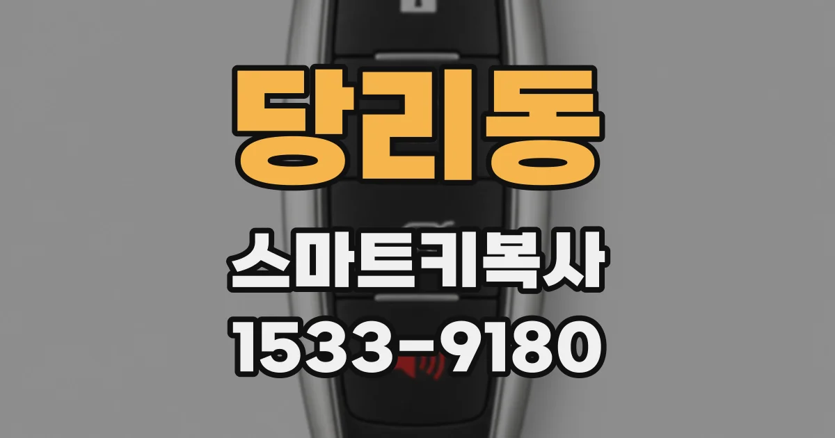 당리동 스마트키복사