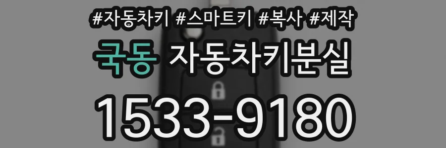 국동 자동차키분실