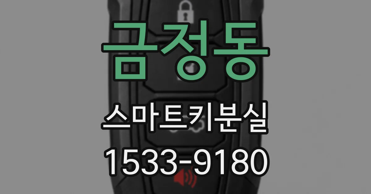 금정동 스마트키분실